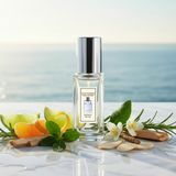Екстракт-парфуми ECLAT D'ARPEGE POUR HOMME 9 мл  9 мл &mdash; парфуми оптом 9ML